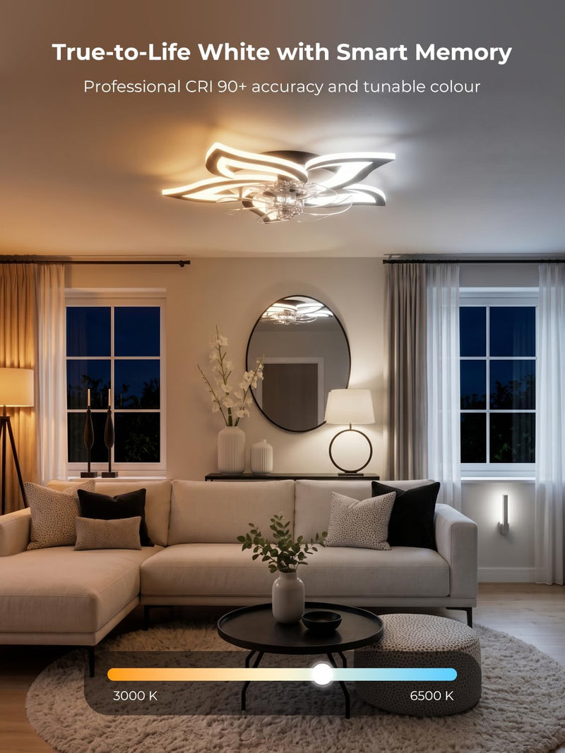 Ceiling Fans with Lights