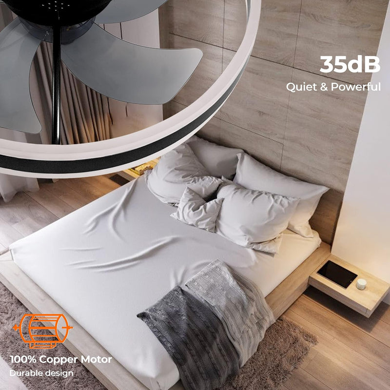 Ceiling Fans with Lights