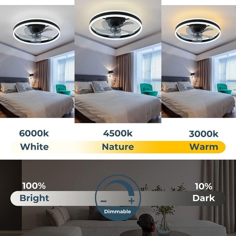 Ceiling Fans with Lights