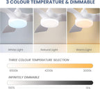 Ceiling Fans with Lights 38inch Small Fan Dimmable
