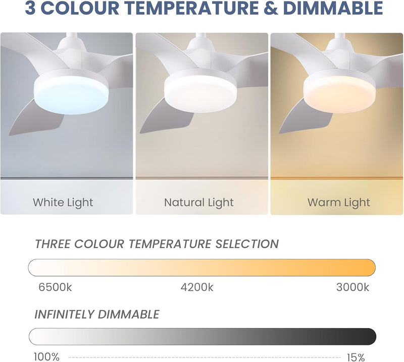 Ceiling Fans with Lights 38inch Small Fan Dimmable