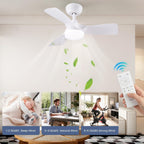 Ceiling Fans with Lights 38inch Small Fan Dimmable