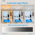 Ceiling Fans with Lights 38inch Small Fan Dimmable