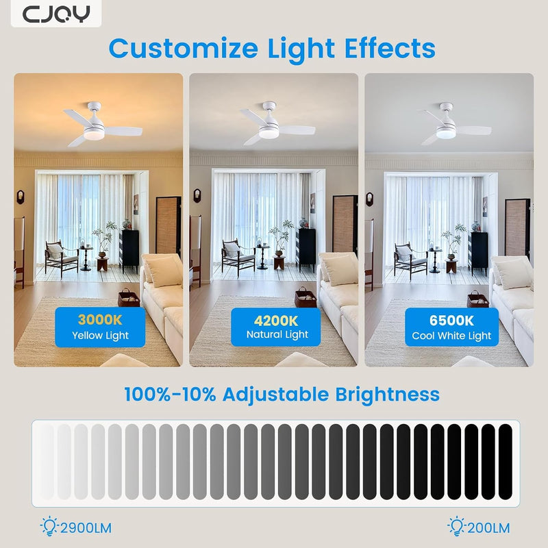 Ceiling Fans with Lights 38inch Small Fan Dimmable