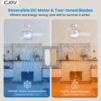 Ceiling Fans with Lights 38inch Small Fan Dimmable