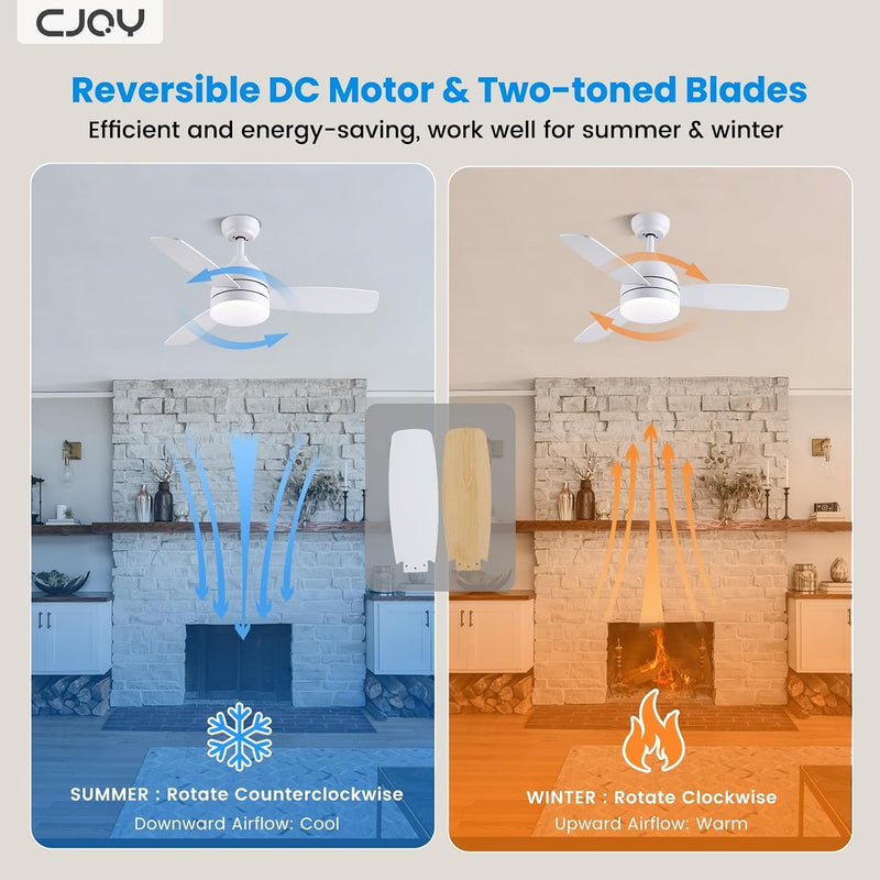Ceiling Fans with Lights 38inch Small Fan Dimmable