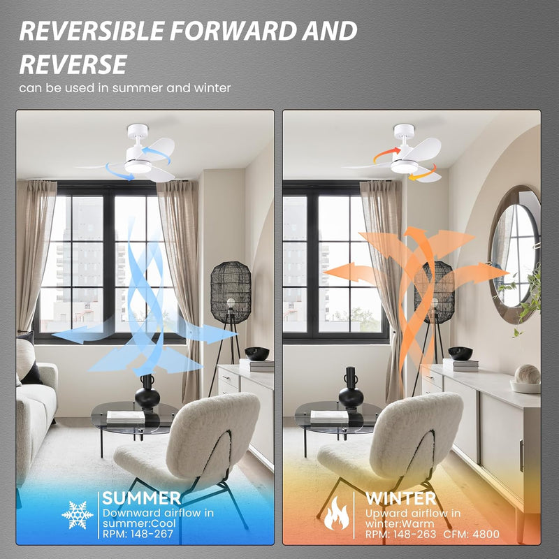 Ceiling Fans with Lights 38inch Small Fan Dimmable
