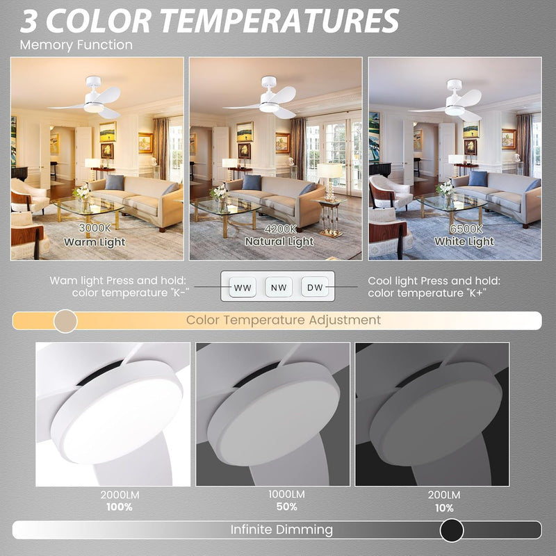 Ceiling Fans with Lights 38inch Small Fan Dimmable