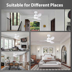 Ceiling Fans with Lights 38inch Small Fan Dimmable