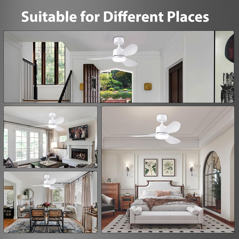 Ceiling Fans with Lights 38inch Small Fan Dimmable