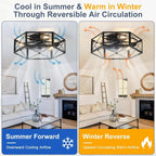 Ceiling Fans with Lights 50CM Industrial Fan 6