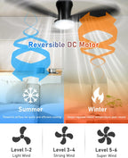 Ceiling Fans with Lights and Remote 25