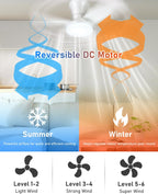 Ceiling Fans with Lights and Remote 25