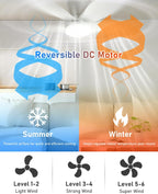 Ceiling Fans with Lights and Remote 25