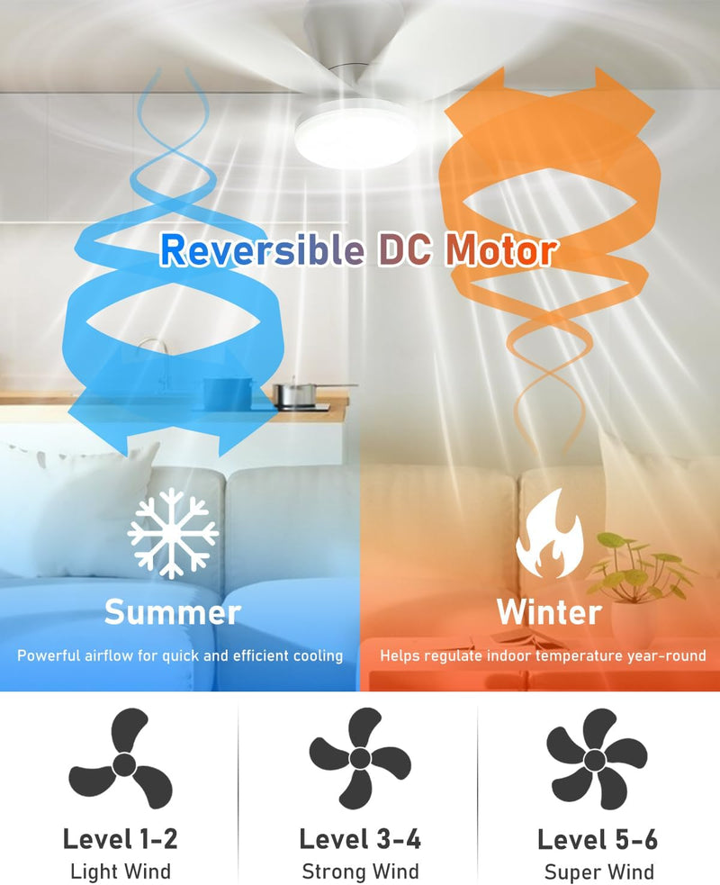 Ceiling Fans with Lights and Remote 25