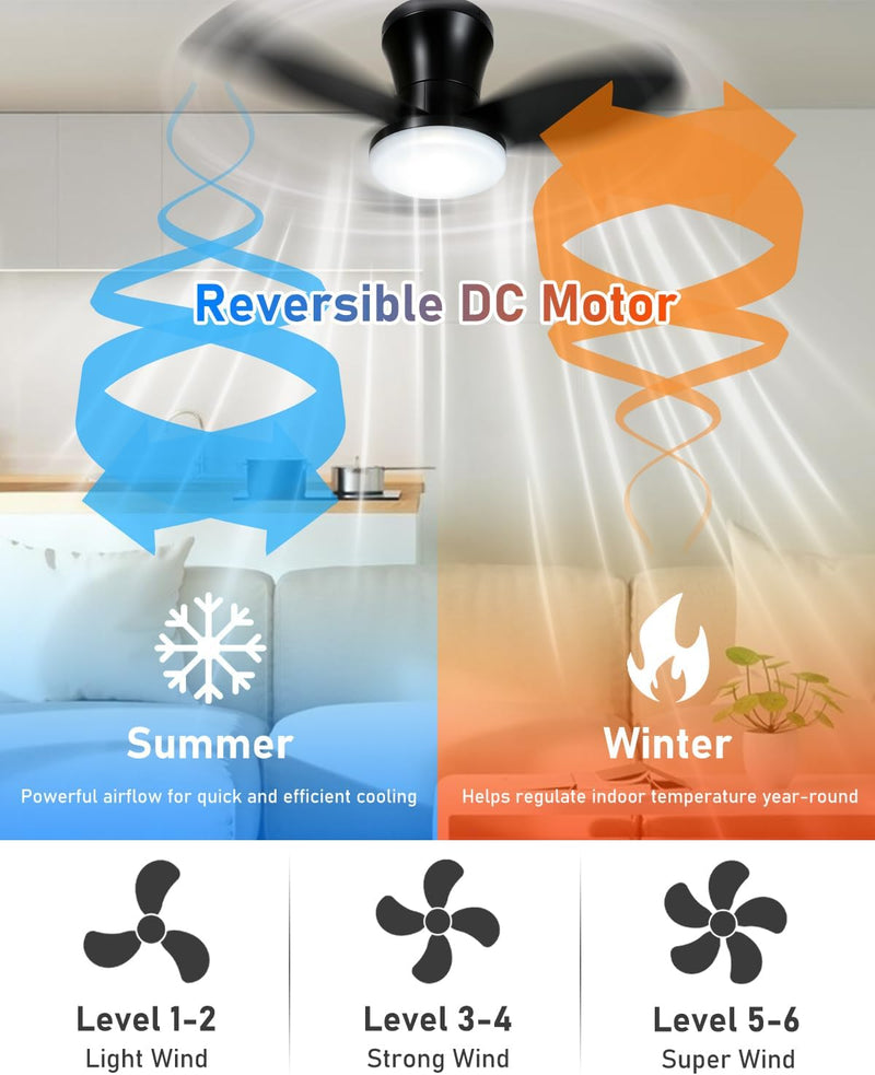 Ceiling Fans with Lights and Remote 25
