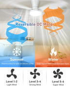 Ceiling Fans with Lights and Remote 25