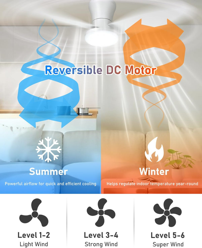Ceiling Fans with Lights and Remote 25