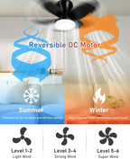 Ceiling Fans with Lights and Remote 25