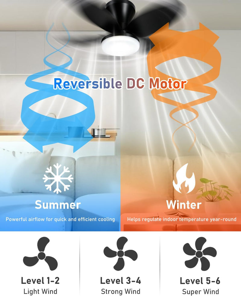 Ceiling Fans with Lights and Remote 25
