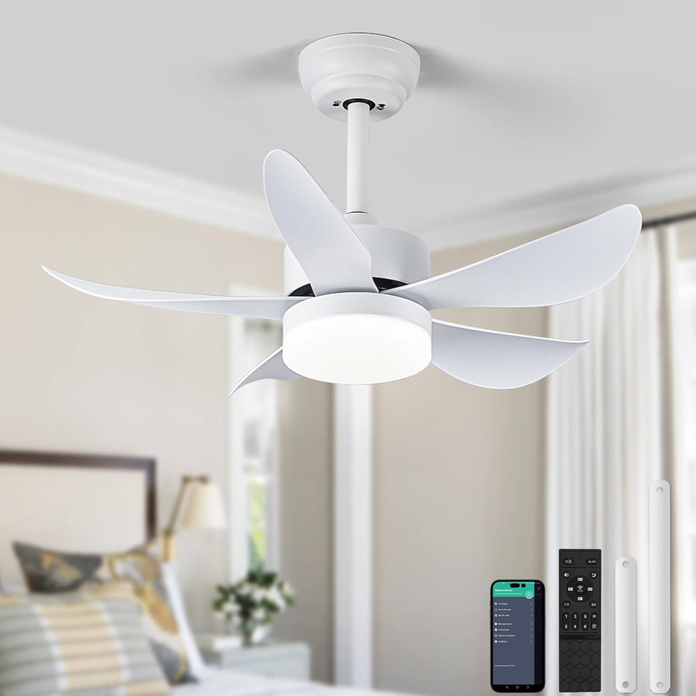 Ceiling Fans with Lights and Remote 30 Inch