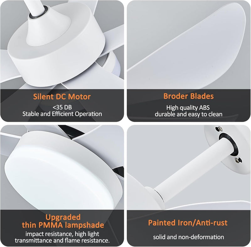Ceiling Fans with Lights and Remote 30 Inch