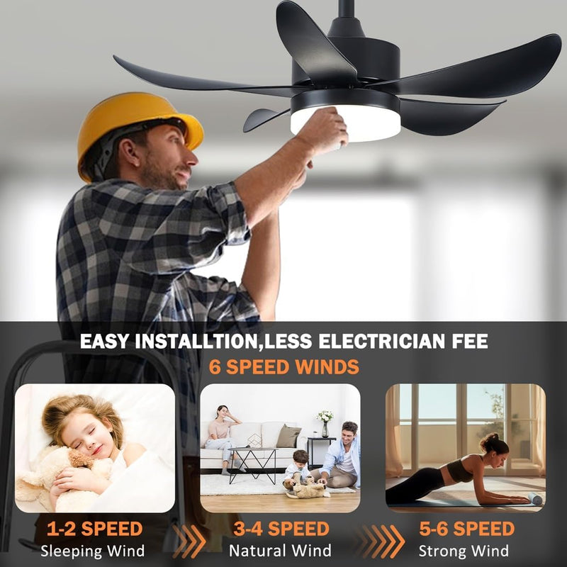 Ceiling Fans with Lights and Remote 30 Inch