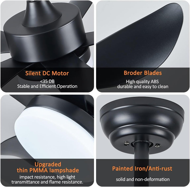 Ceiling Fans with Lights and Remote 30 Inch