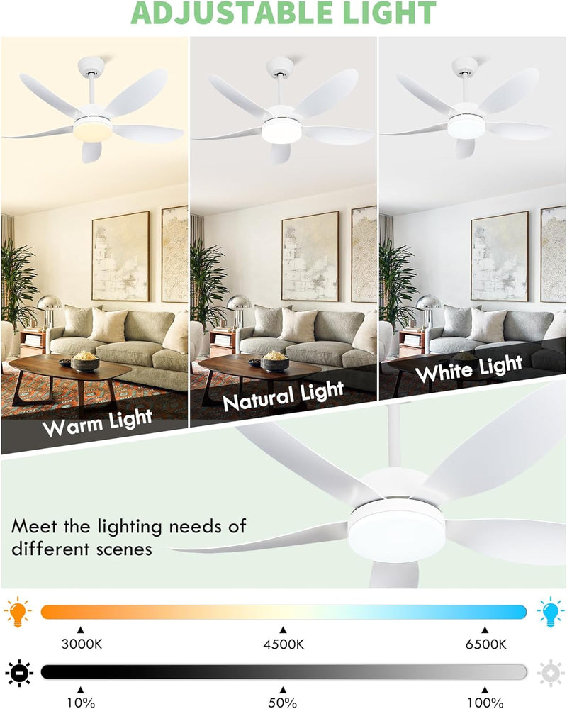 Ceiling Fans with Lights and Remote 30 Inch