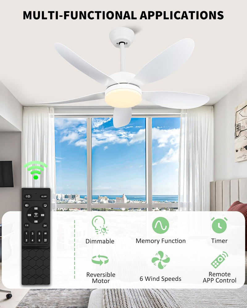 Ceiling Fans with Lights and Remote 30 Inch