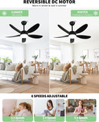Ceiling Fans with Lights and Remote 30 Inch