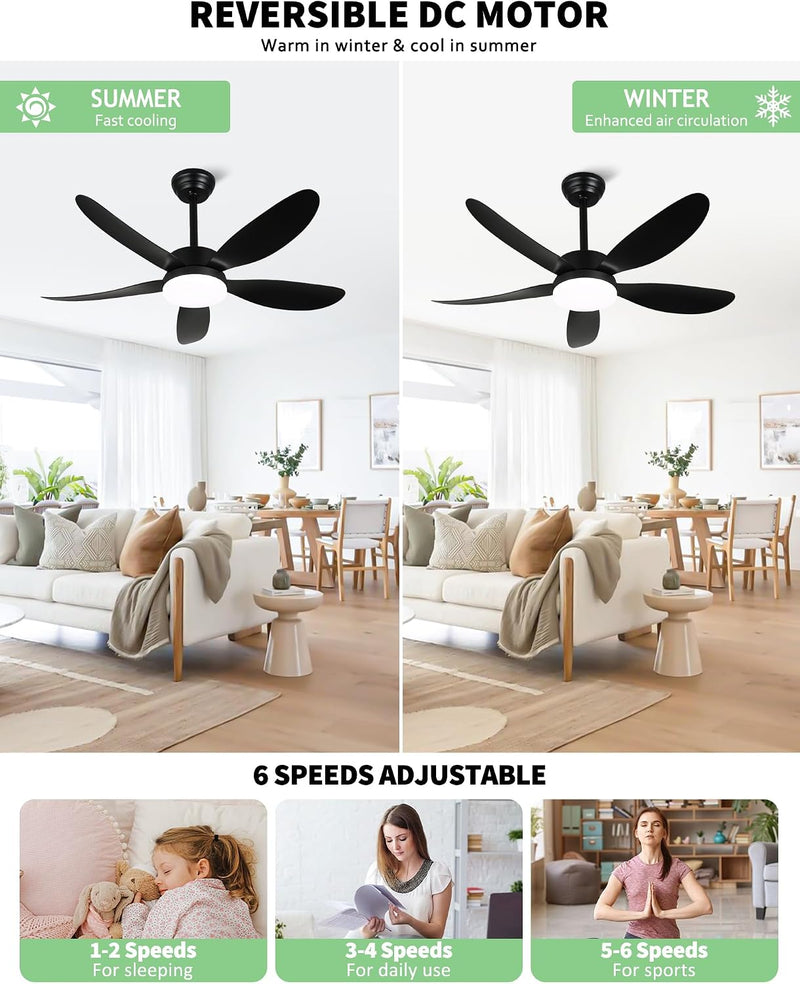 Ceiling Fans with Lights and Remote 30 Inch
