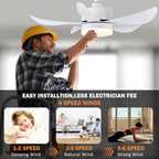 Ceiling Fans with Lights and Remote 30 Inch