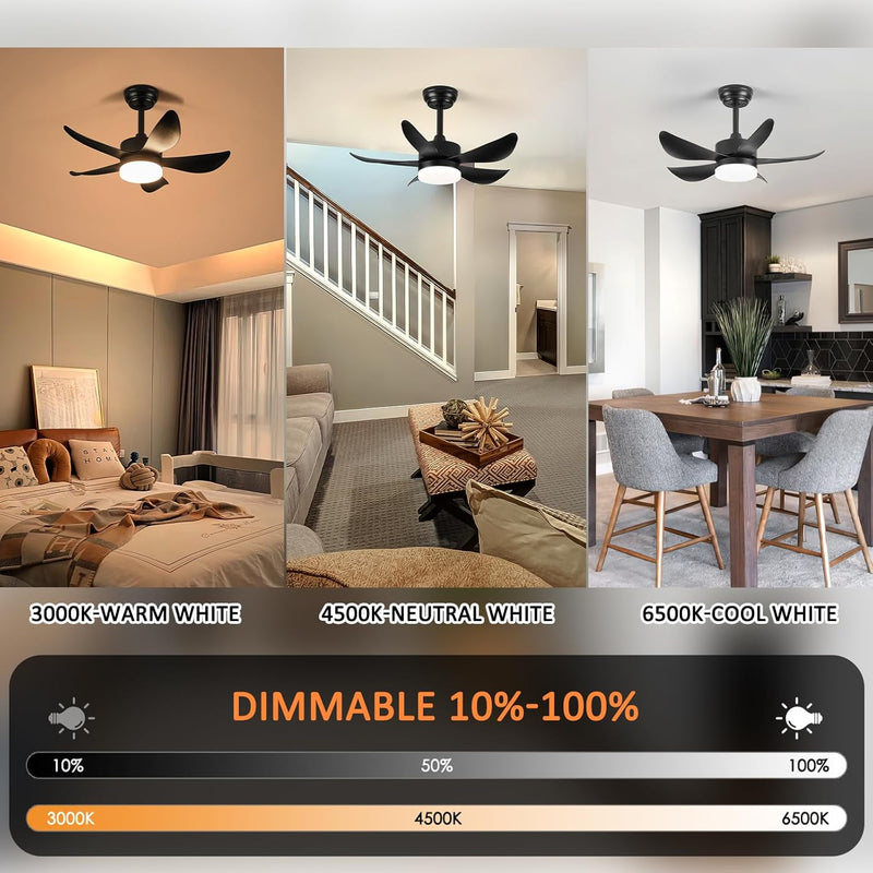 Ceiling Fans with Lights and Remote 30 Inch