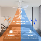 Ceiling Fans with Lights and Remote 30 Inch