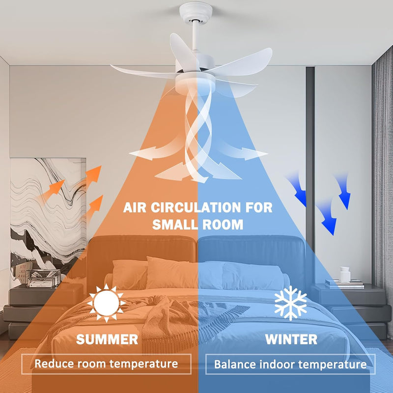 Ceiling Fans with Lights and Remote 30 Inch
