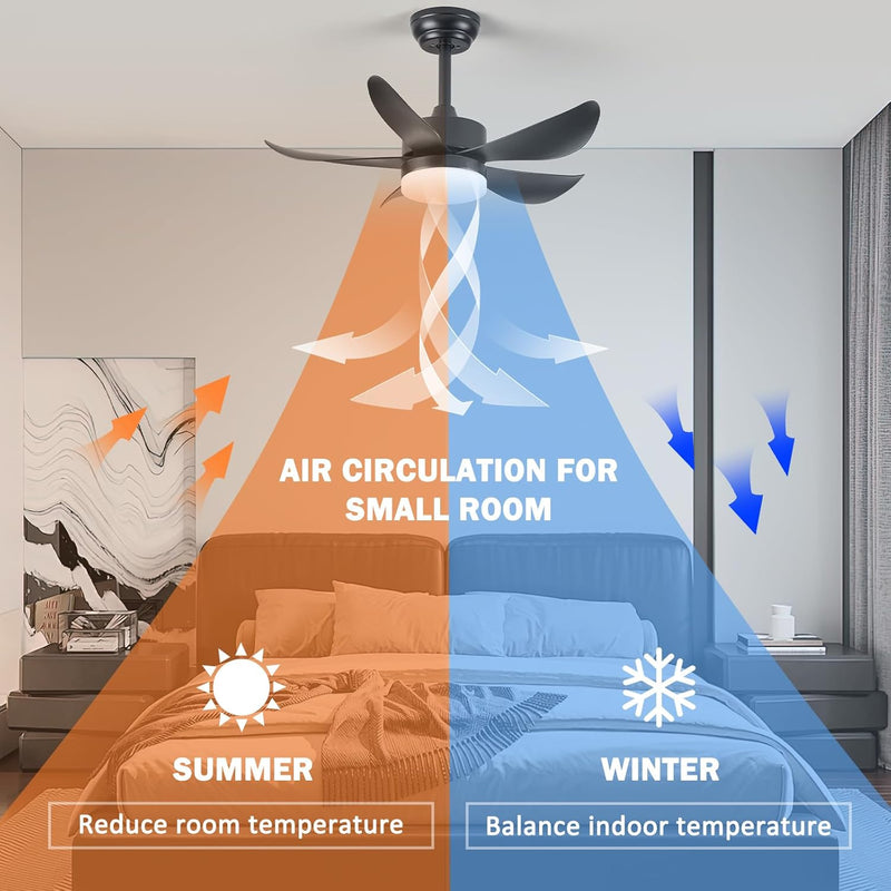 Ceiling Fans with Lights and Remote 30 Inch