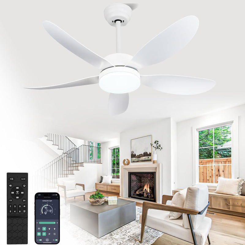 Ceiling Fans with Lights and Remote 30 Inch