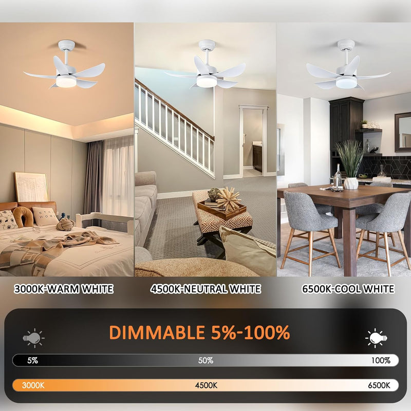 Ceiling Fans with Lights and Remote 30 Inch