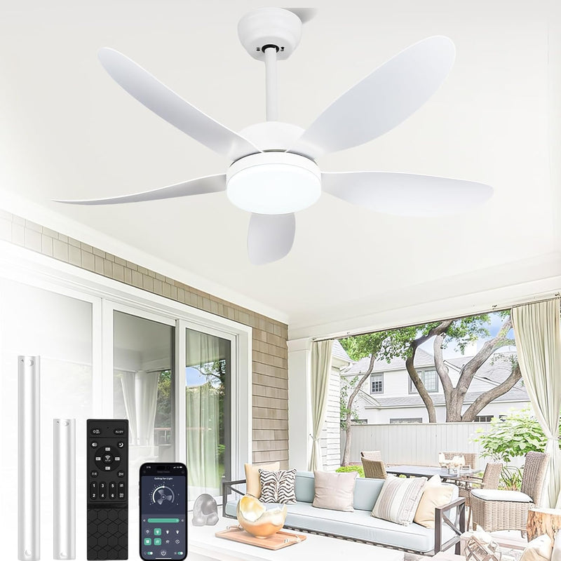 Ceiling Fans with Lights and Remote 30 Inch