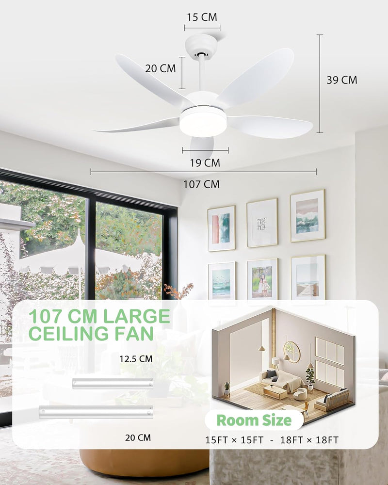 Ceiling Fans with Lights and Remote 30 Inch