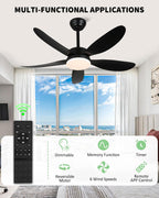 Ceiling Fans with Lights and Remote 30 Inch