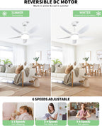 Ceiling Fans with Lights and Remote 30 Inch