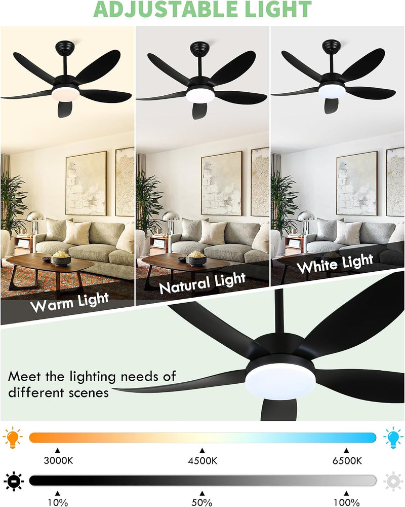 Ceiling Fans with Lights and Remote 30 Inch