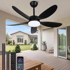 Ceiling Fans with Lights and Remote 30 Inch