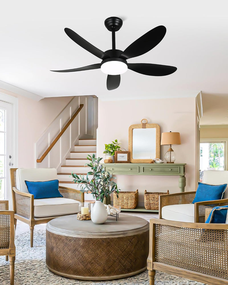 Ceiling Fans with Lights and Remote 30 Inch