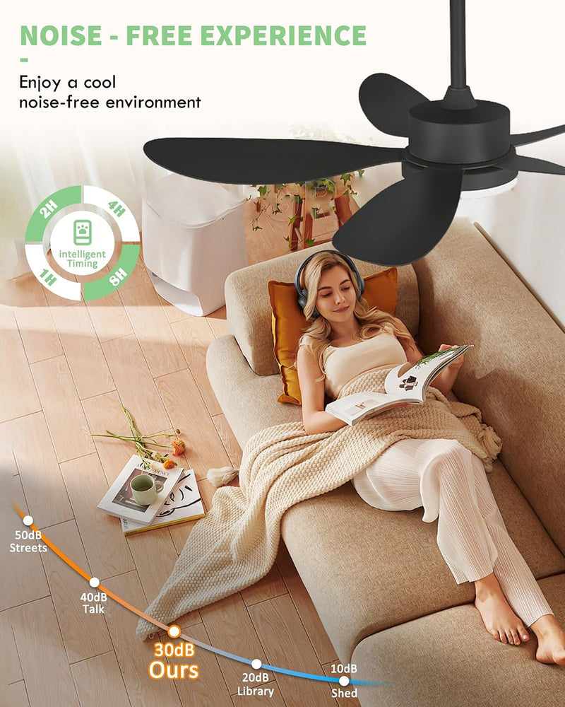 Ceiling Fans with Lights and Remote 30 Inch