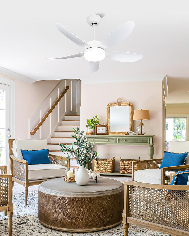 Ceiling Fans with Lights and Remote 30 Inch