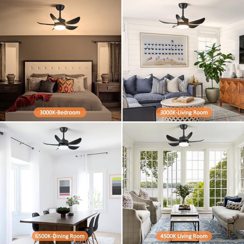 Ceiling Fans with Lights and Remote 30 Inch