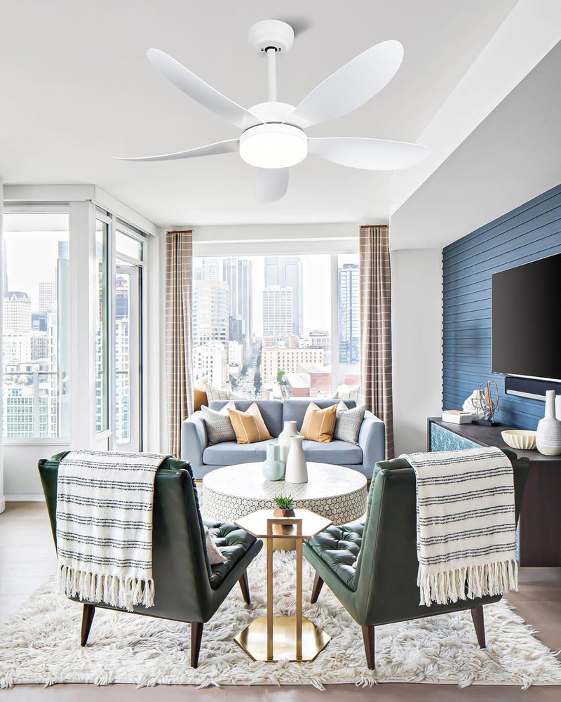 Ceiling Fans with Lights and Remote 30 Inch